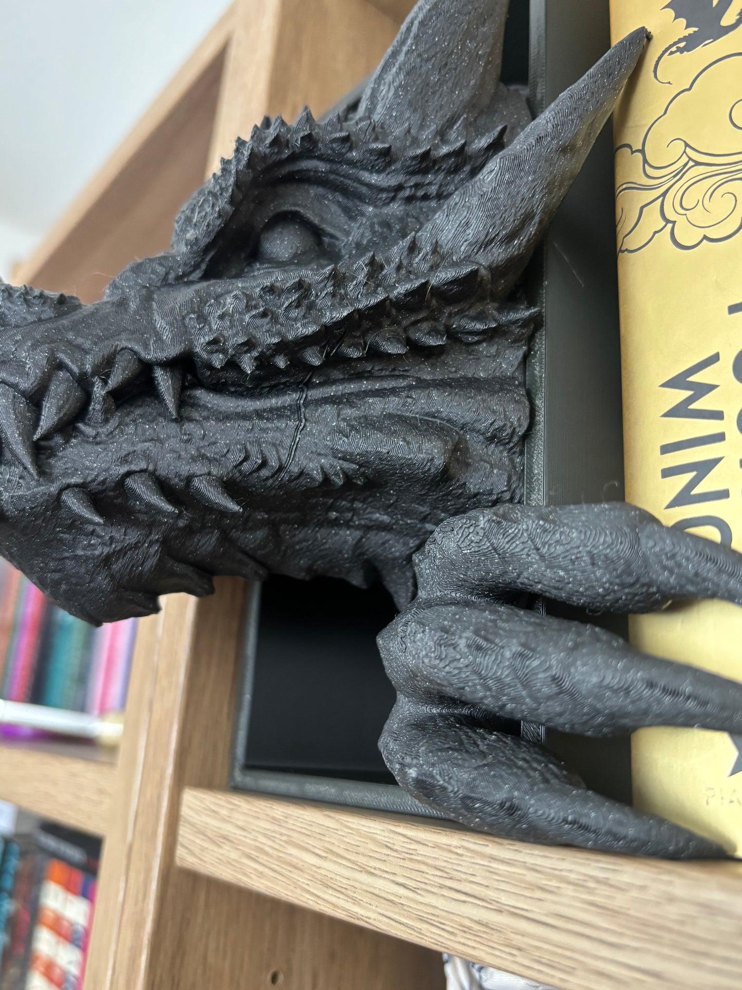 Space black emerging dragon book nook